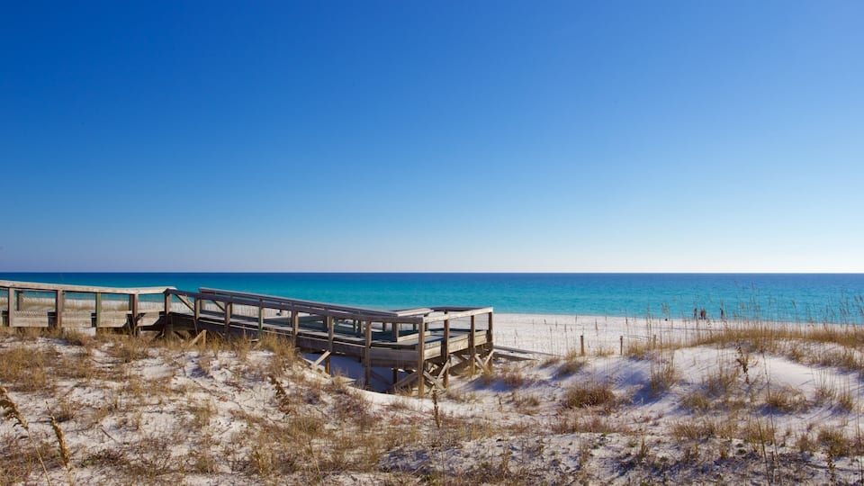 Henderson Beach State Park featuring a sandy beach and tranquil scenes