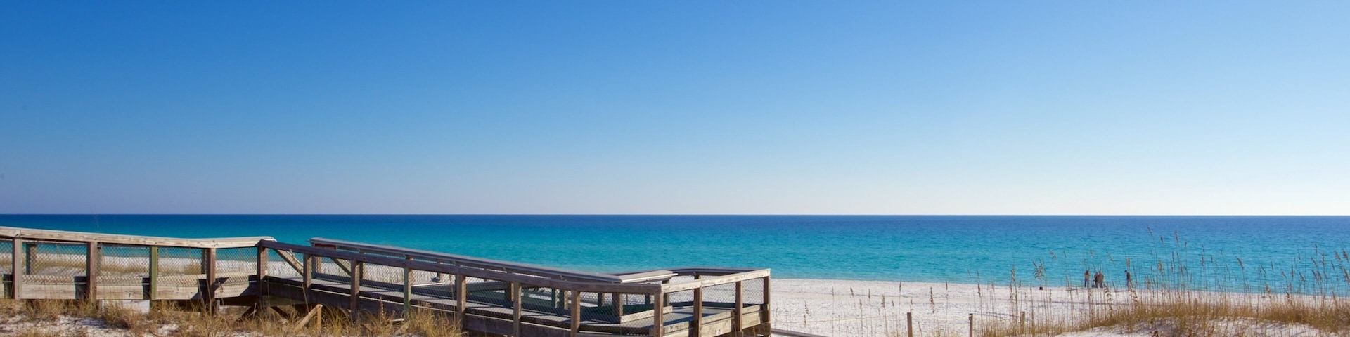 Henderson Beach State Park featuring a sandy beach and tranquil scenes