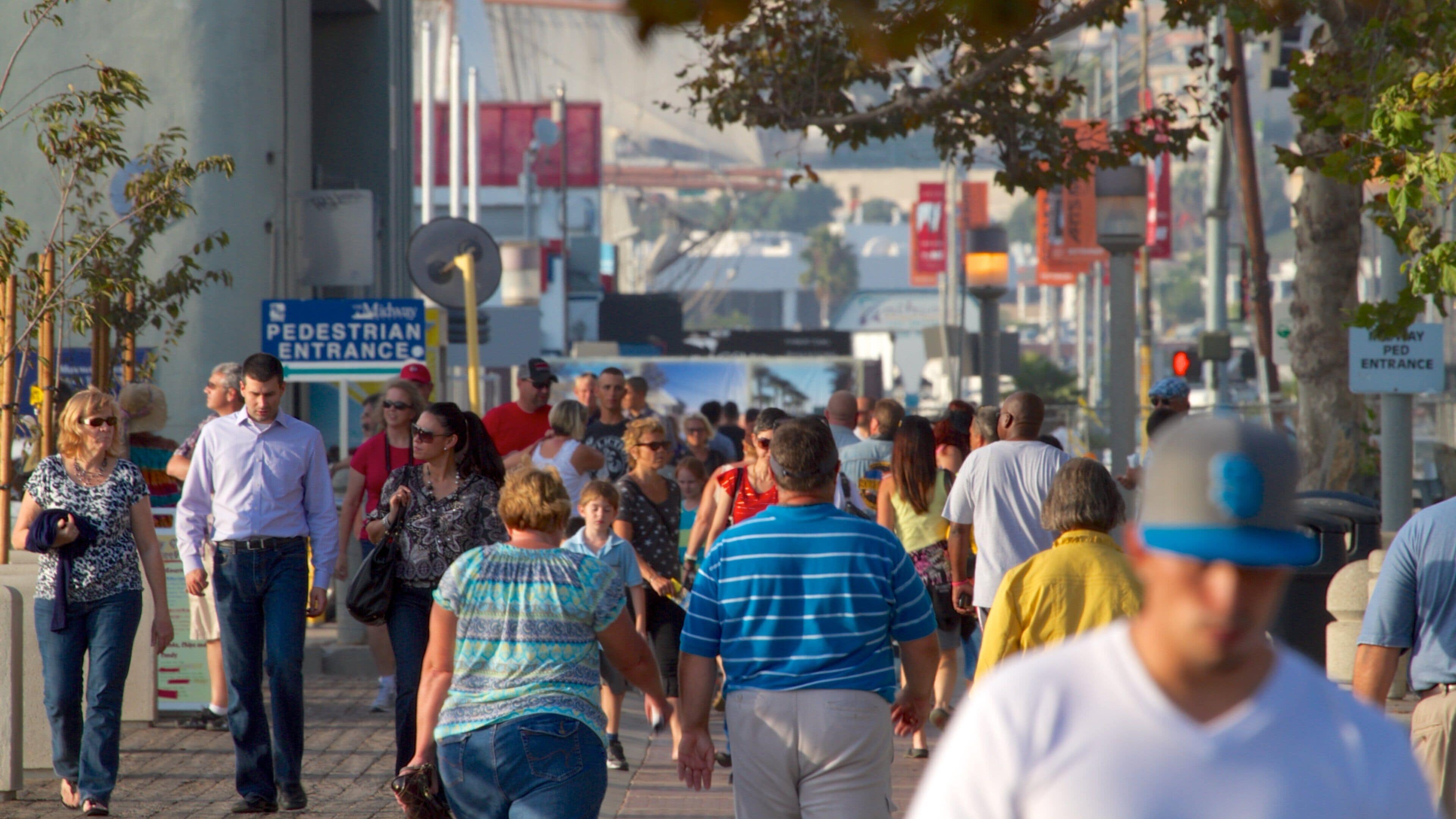 Navy Pier presenterar en stad och gatuliv såväl som en stor grupp av människor
