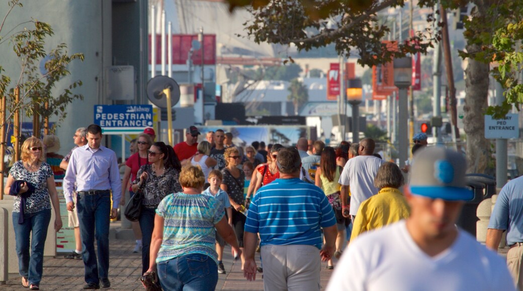 Navy Pier presenterar en stad och gatuliv såväl som en stor grupp av människor