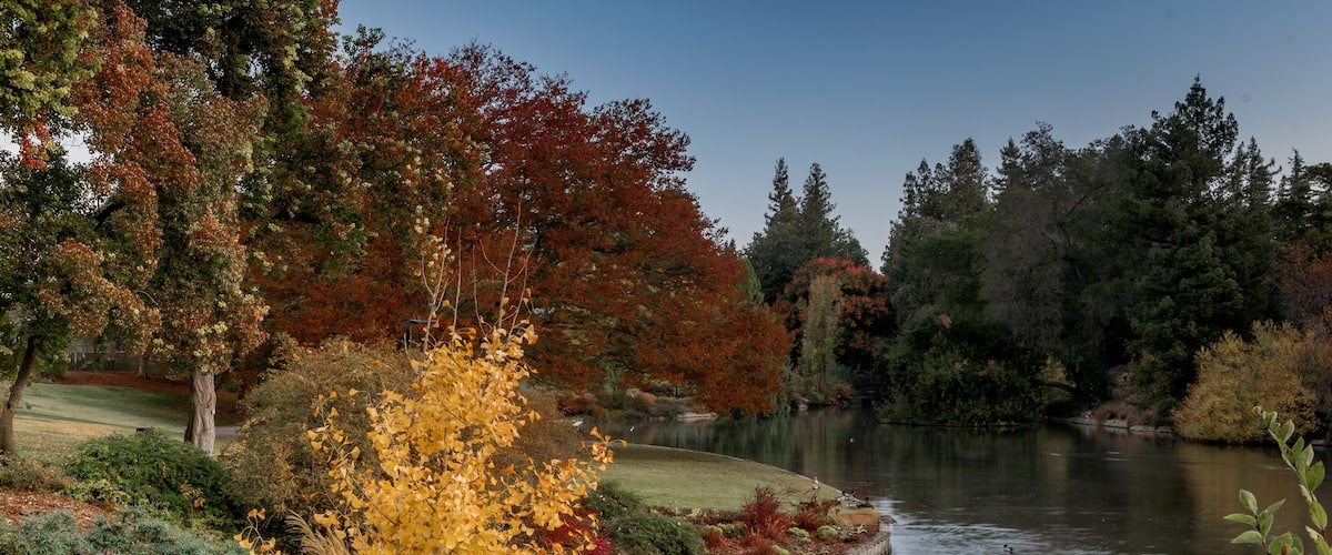 UC Davis Arboretum in the Autumn featuring yellow and red colors selected on lake