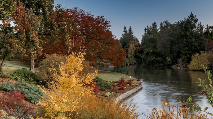 UC Davis Arboretum in the Autumn featuring yellow and red colors selected on lake
