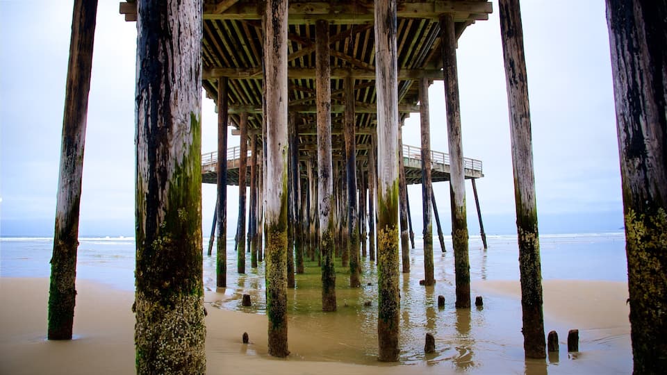 Pismo Beach Pier which includes a beach