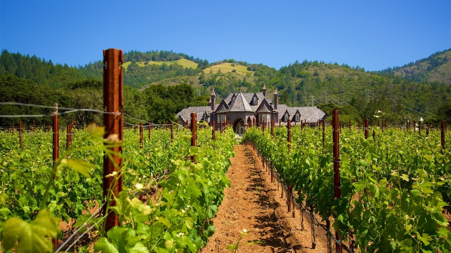 Ledson Winery and Vineyards featuring farmland, tranquil scenes and heritage elements