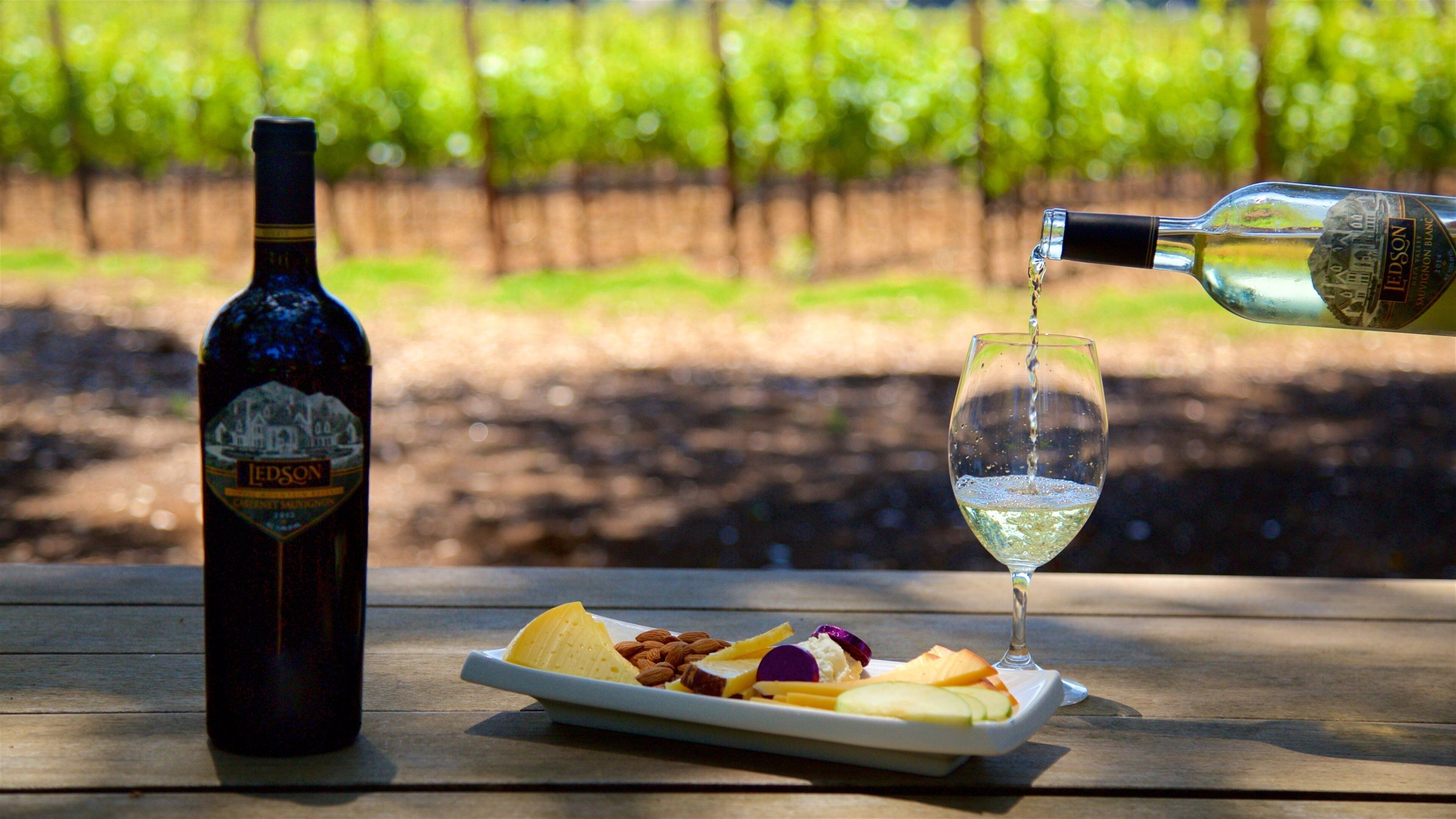 Ledson Winery and Vineyards showing food and drinks or beverages