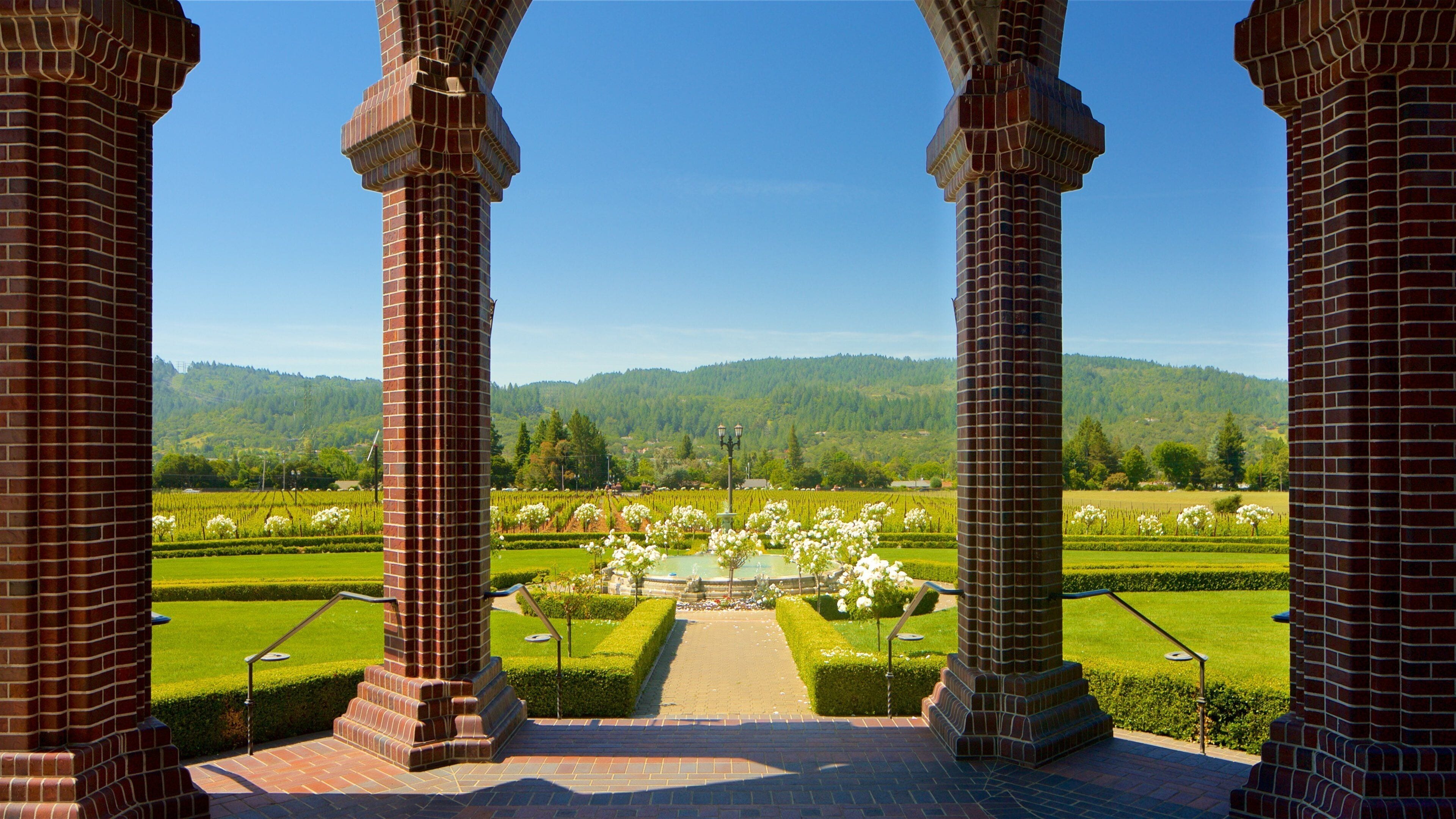 Ledson Winery and Vineyards showing flowers, heritage elements and a park
