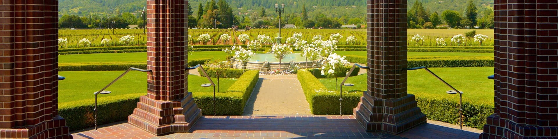 Ledson Winery and Vineyards showing flowers, heritage elements and a park