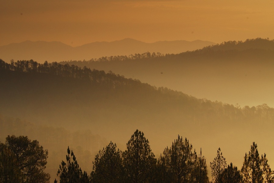 A view of ridges from Holm Farm Heritage in Ranikhet, Uttarakhand.