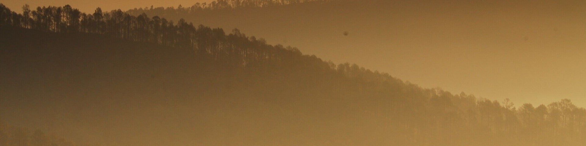 A view of ridges from Holm Farm Heritage in Ranikhet, Uttarakhand.