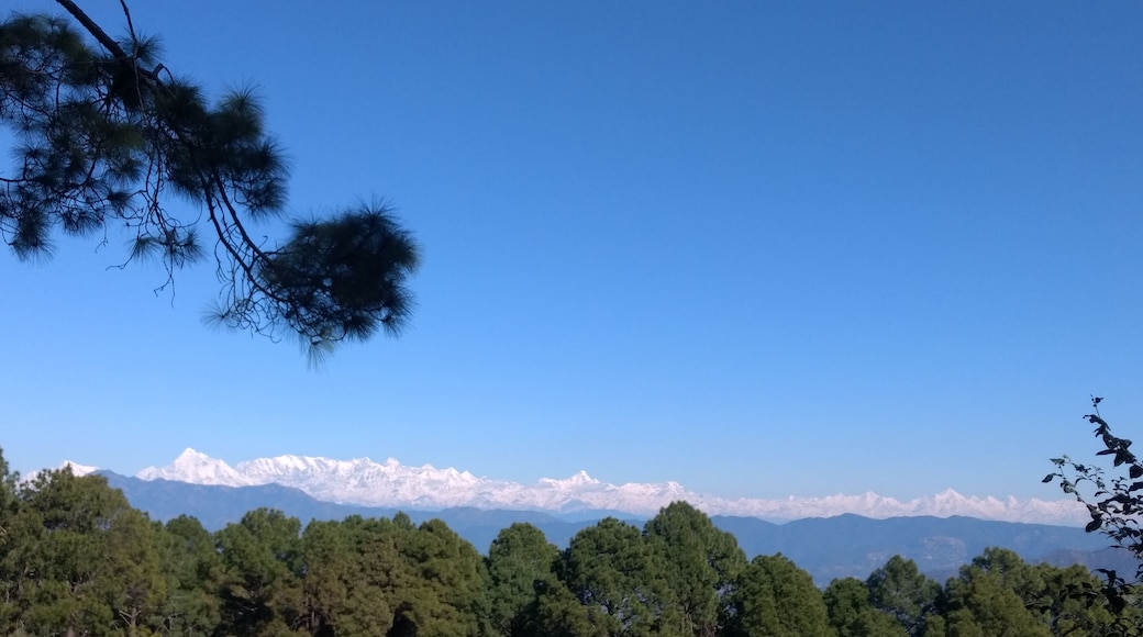 As we were approaching ranikhet ,this view made us halt at this place. I couldn't resist myself taking this with my phone. #ranikhet #almora #gharwal #nainital #himalayas