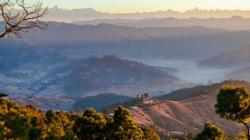 Ranikhet