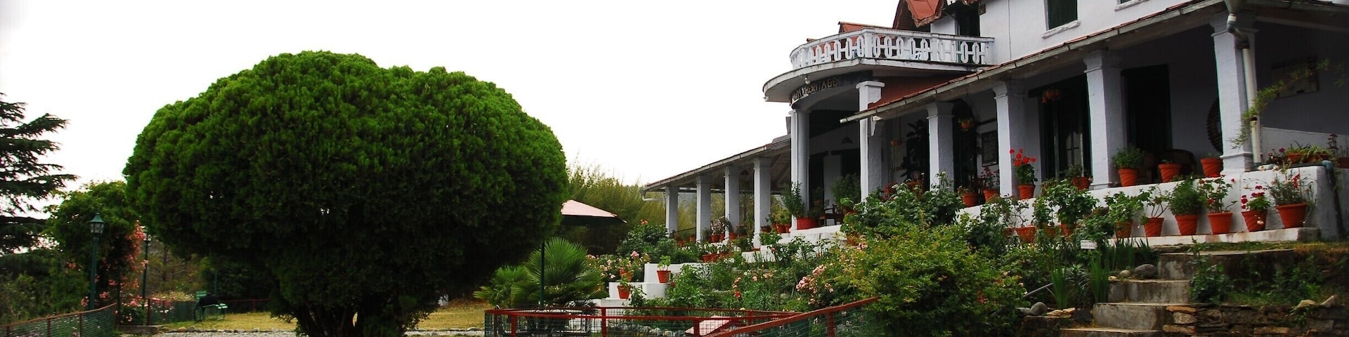 Un árbol grande, una casa con porche y un letrero de 'No Estacionar'.