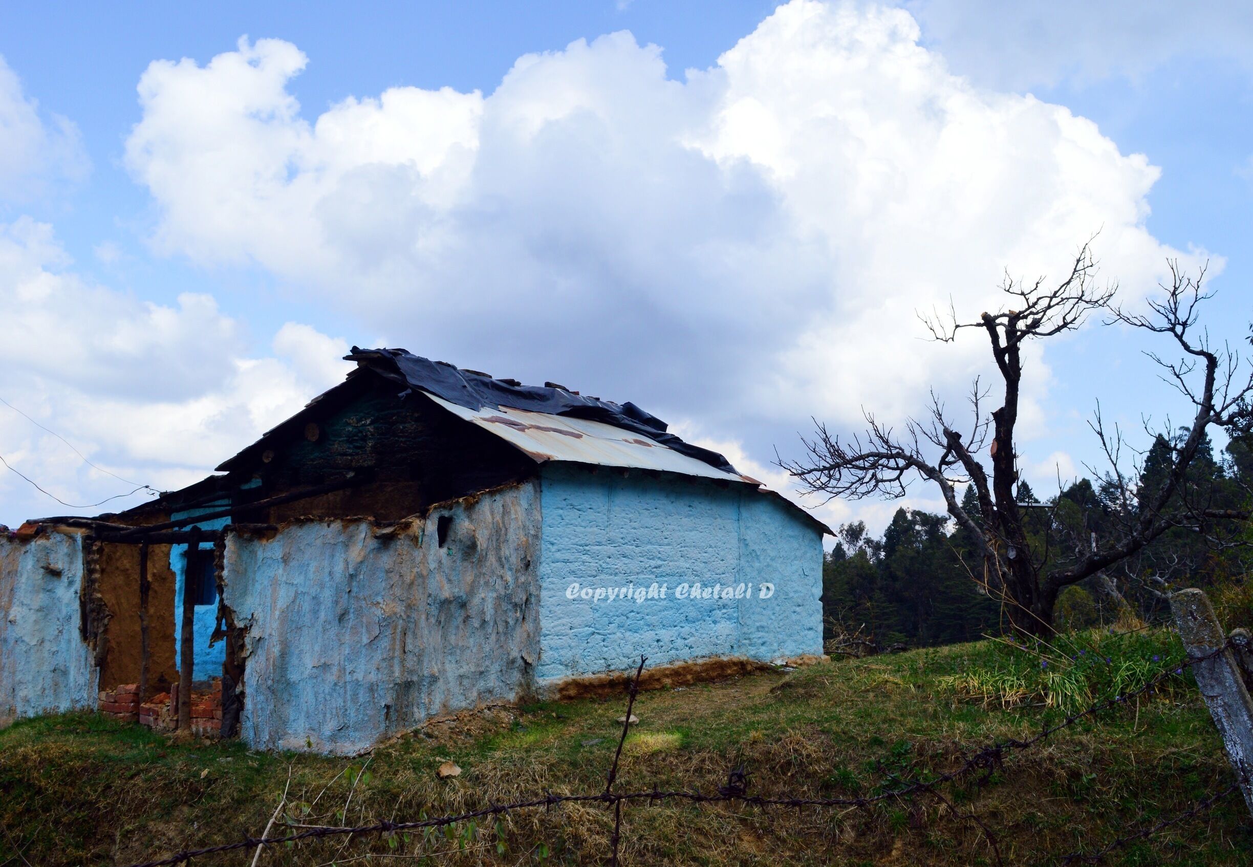 Kumaon the "Devbhoomi"....one such amazing place Ranikhet

#chaubatiagarden#ranikhet#uttarakhand#travelbazzinga#trover