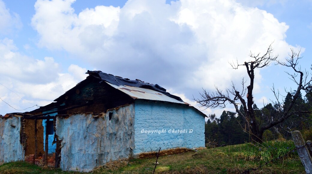 Kumaon the "Devbhoomi"....one such amazing place Ranikhet
#chaubatiagarden#ranikhet#uttarakhand#travelbazzinga#trover