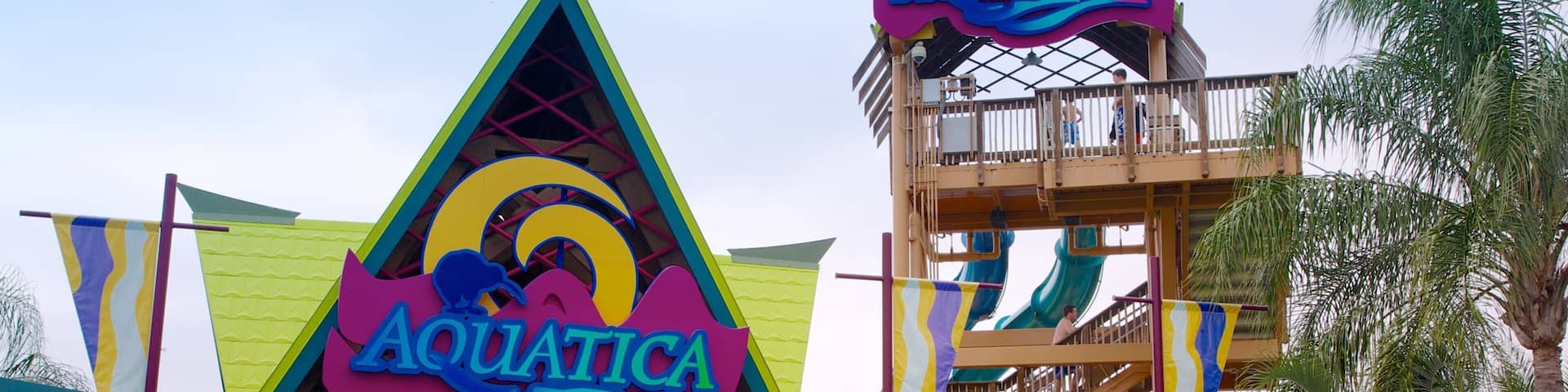 Aquatica welches beinhaltet Wasserpark, Blumen und Fahrten