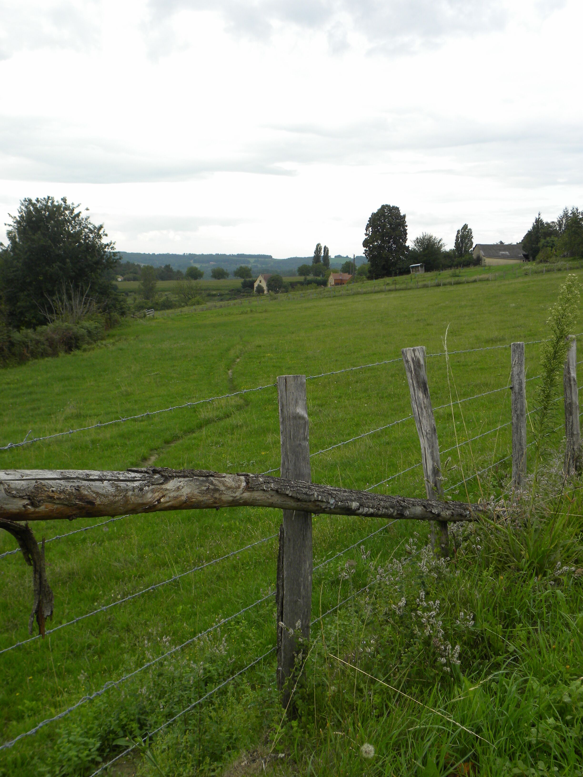 LA CHAMPIGNE 1, MARQUAY, Sarlat
