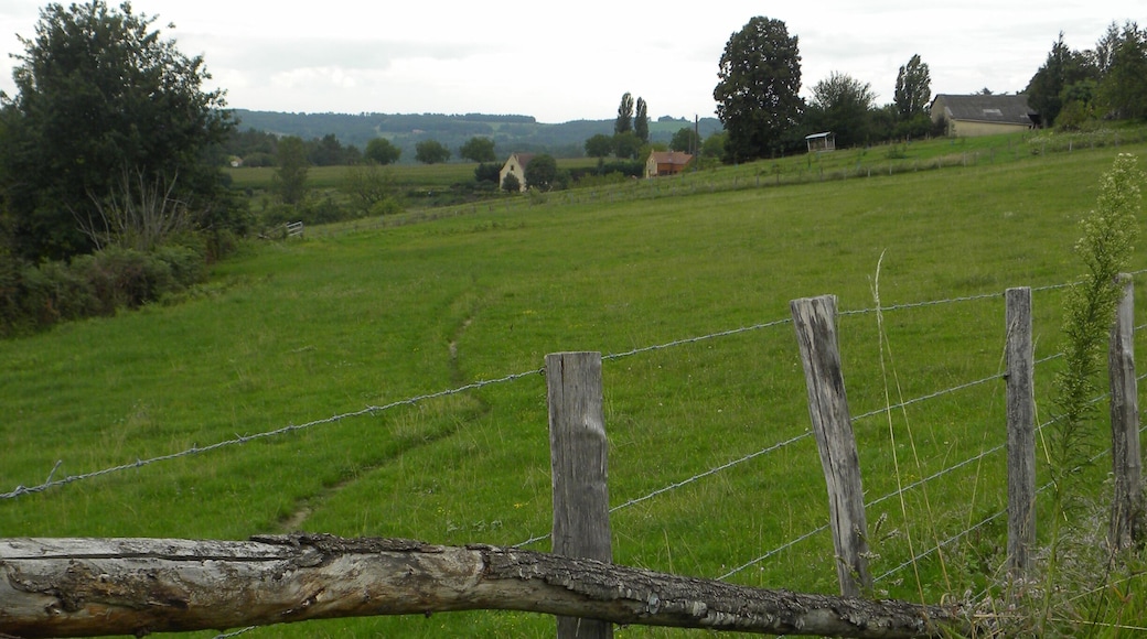 LA CHAMPIGNE 1, MARQUAY, Sarlat