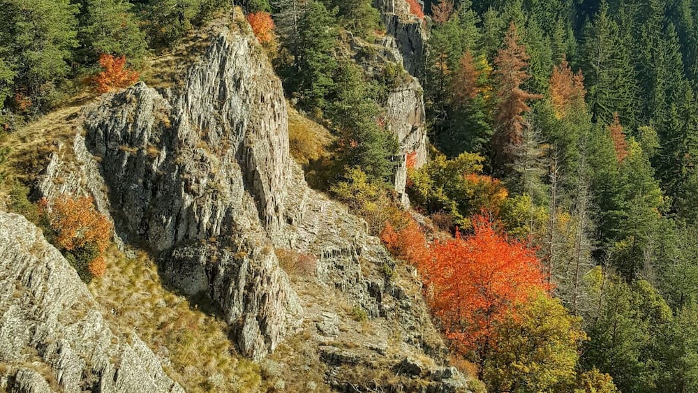 Rhodopes in autumn clothes :-) A nice day in all types of red and yellow!