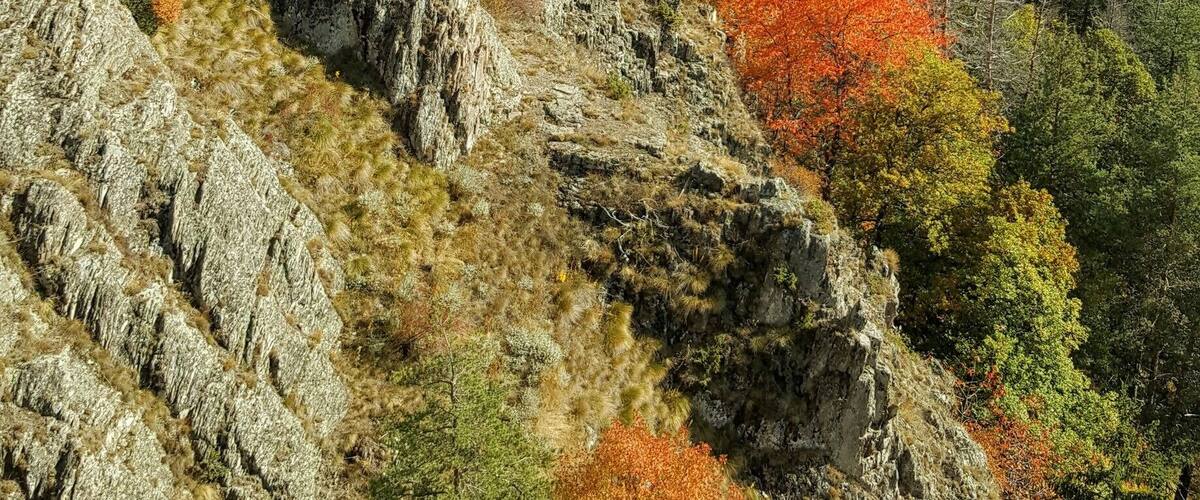 A rugged mountain landscape with rocky outcrops and dense forests with autumn foliage.