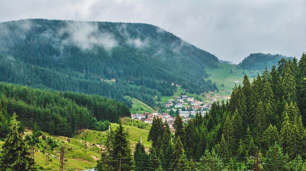 Somewhere in Rhodopes during summer.