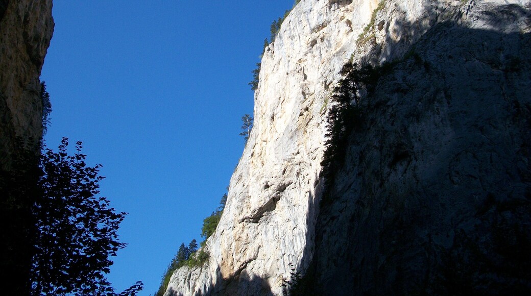 The road between the mountains... very creepy when you think of the folk history of the area...