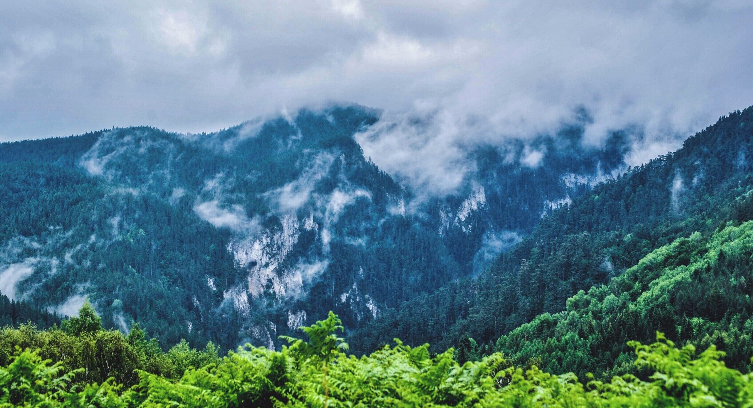 Somewhere in Rhodopes during summer.