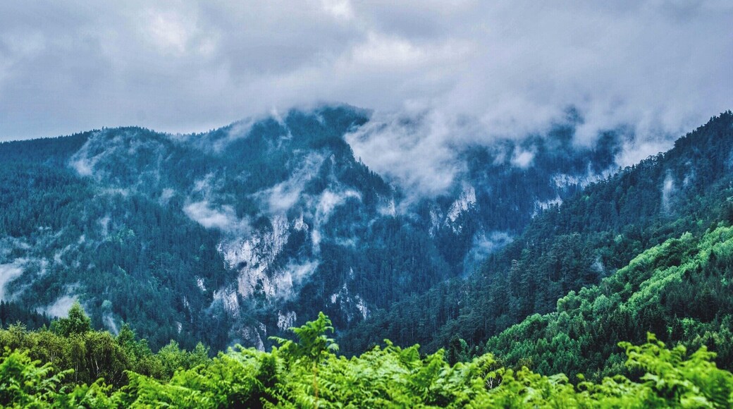 Somewhere in Rhodopes during summer.