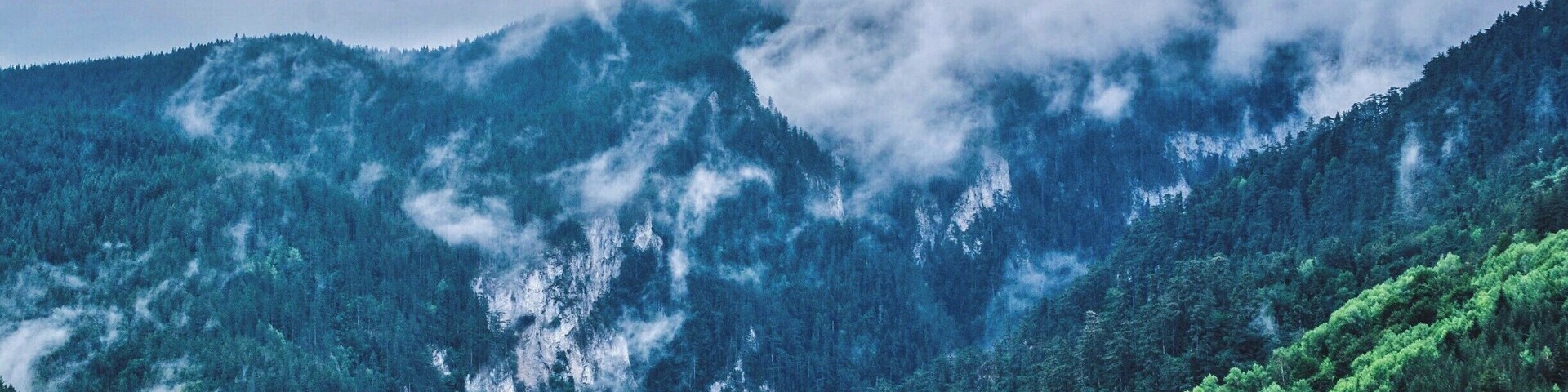 Una cadena montañosa boscosa con árboles densos y picos cubiertos de niebla.