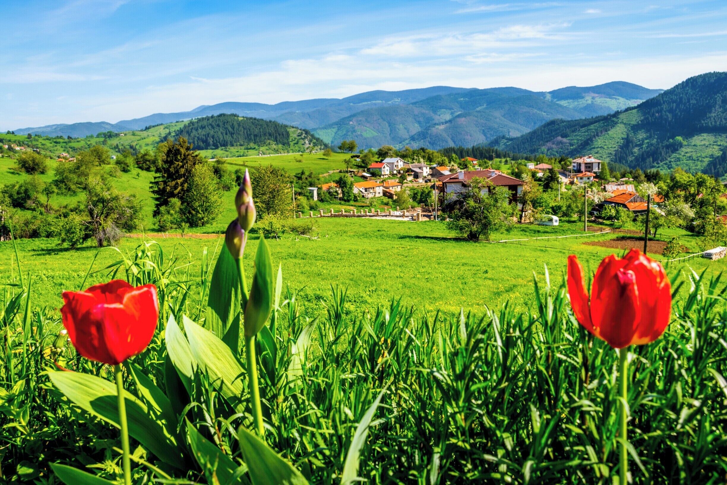 Near Gela village, Rhodope Mountains. #Bulgaria #mountain