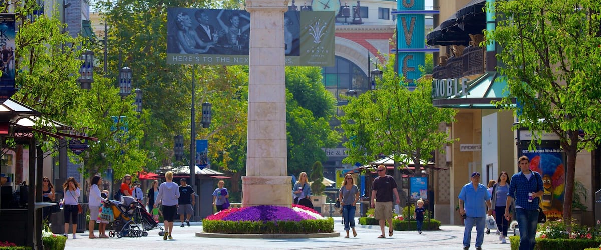 The Grove showing a city, a square or plaza and a monument