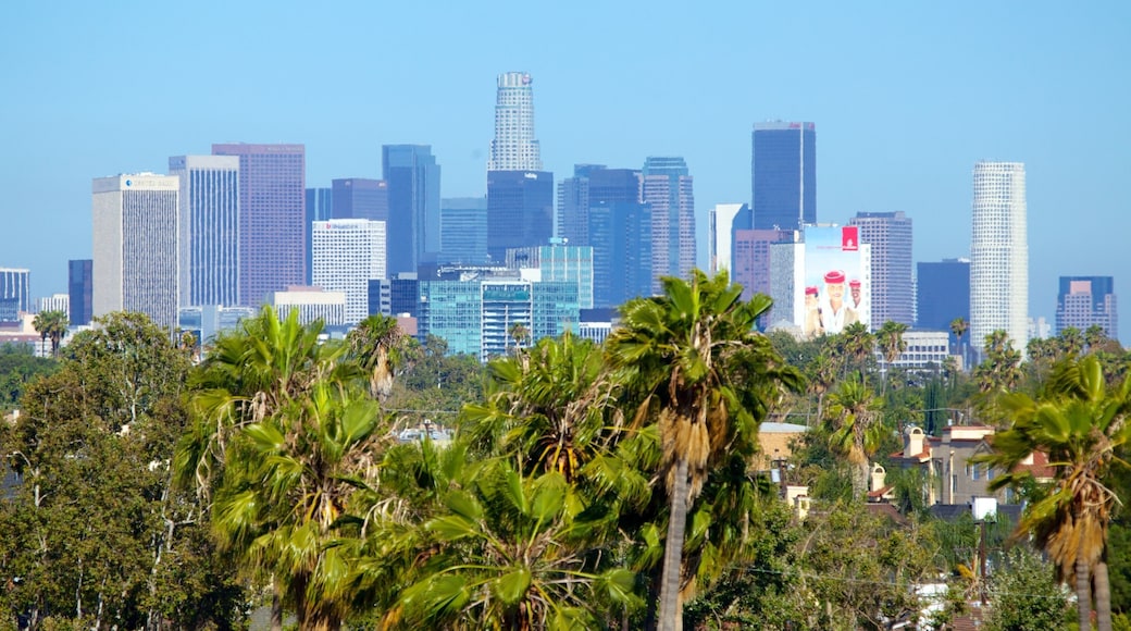 The Grove 设有 天際線, 核心商業區 和 城市