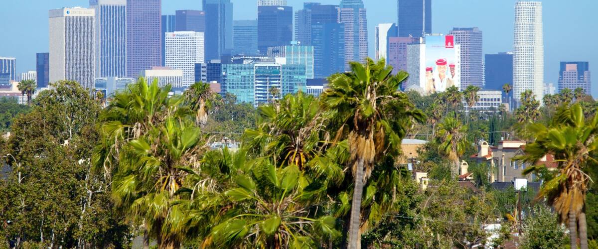The Grove showing skyline, tropical scenes and a city