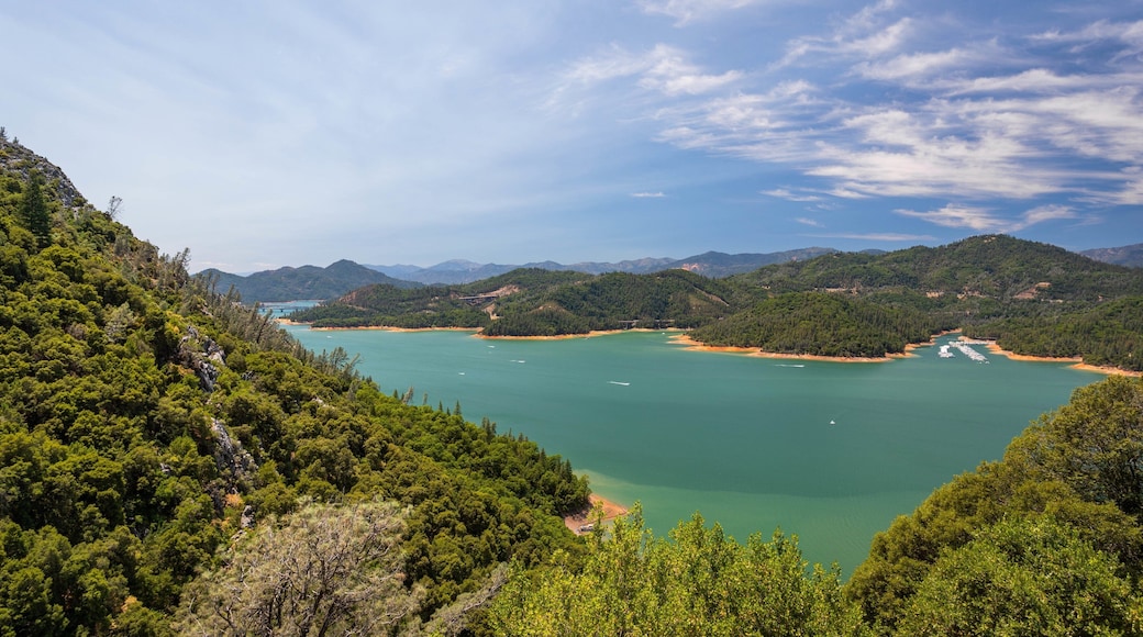 Shasta Lake