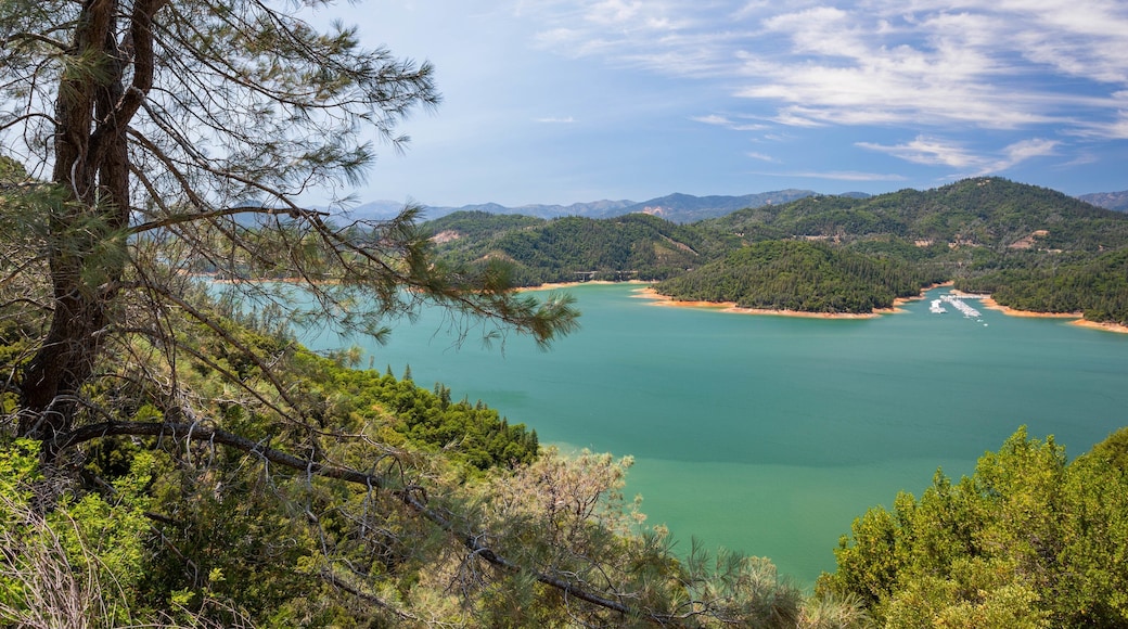 Shasta Lake which includes a lake or waterhole