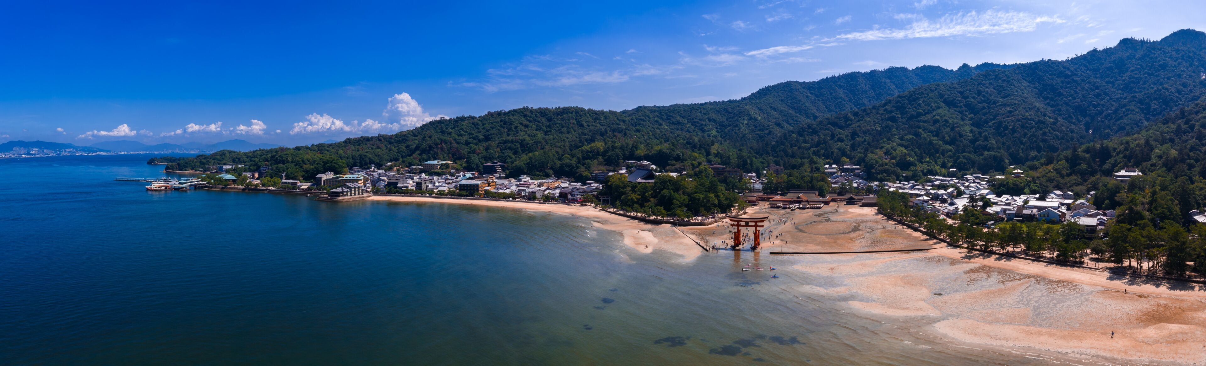 A coastal town with a beach, a pier, and a forested mountain in the background.