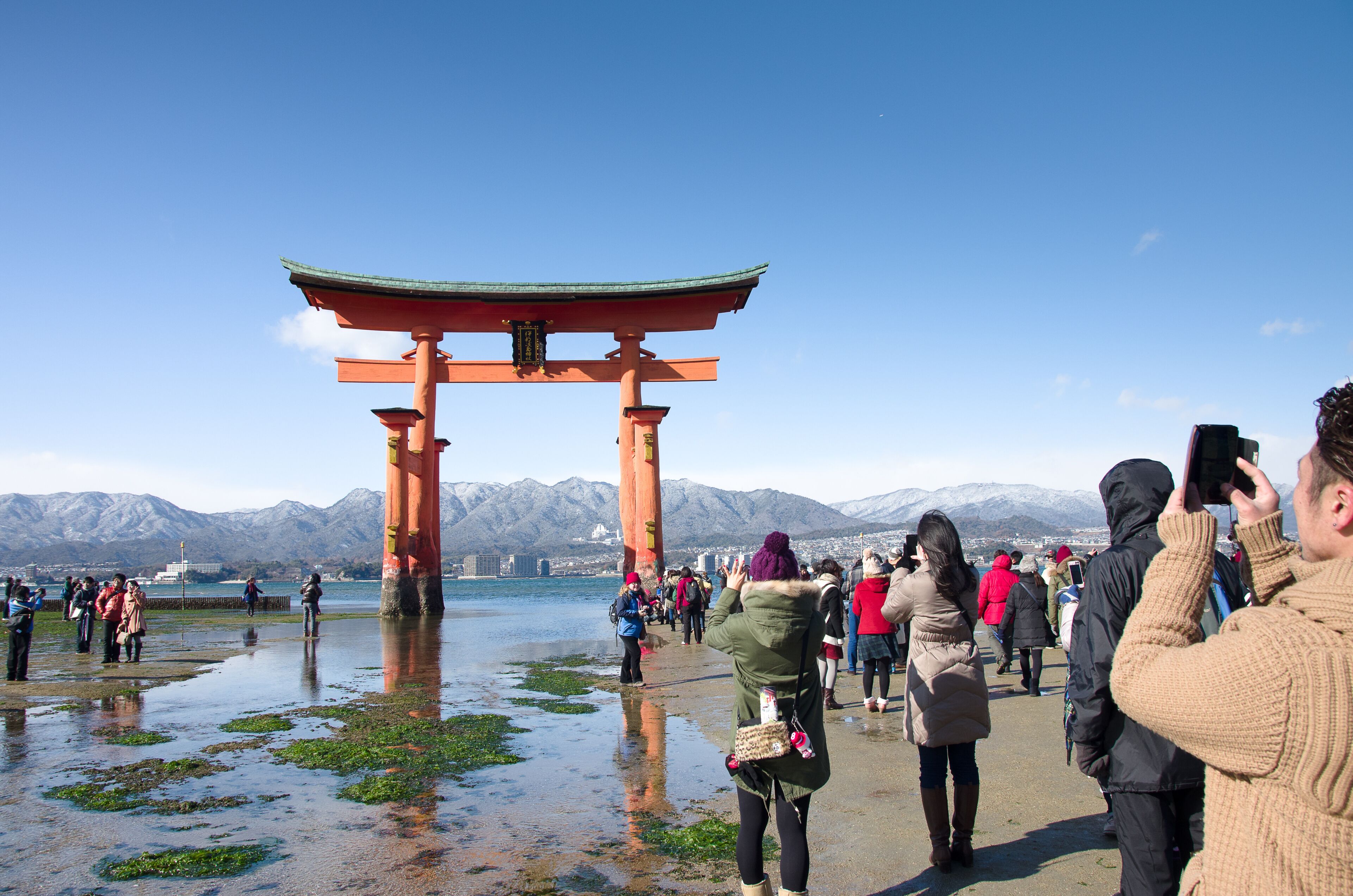 宮島 大鳥居
