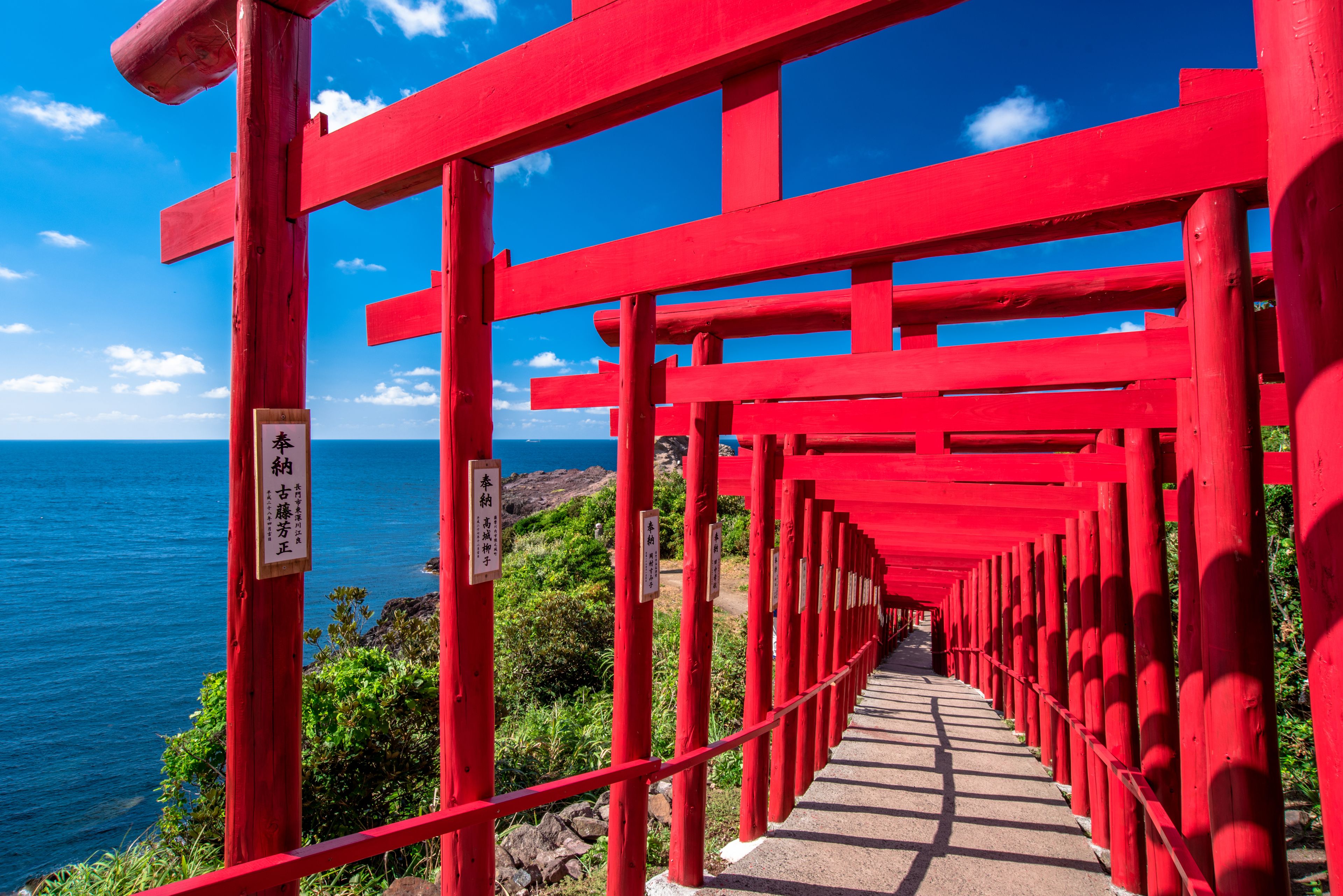 Thousands of Torii gates in Yamaguchi ,Japan