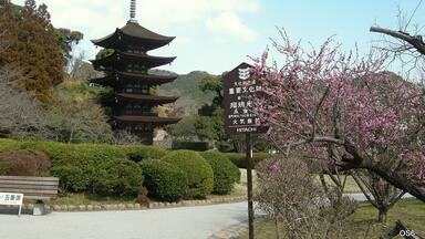 Una pagoda japonesa tradicional, flores de cerezo y un cartel con caracteres japoneses.