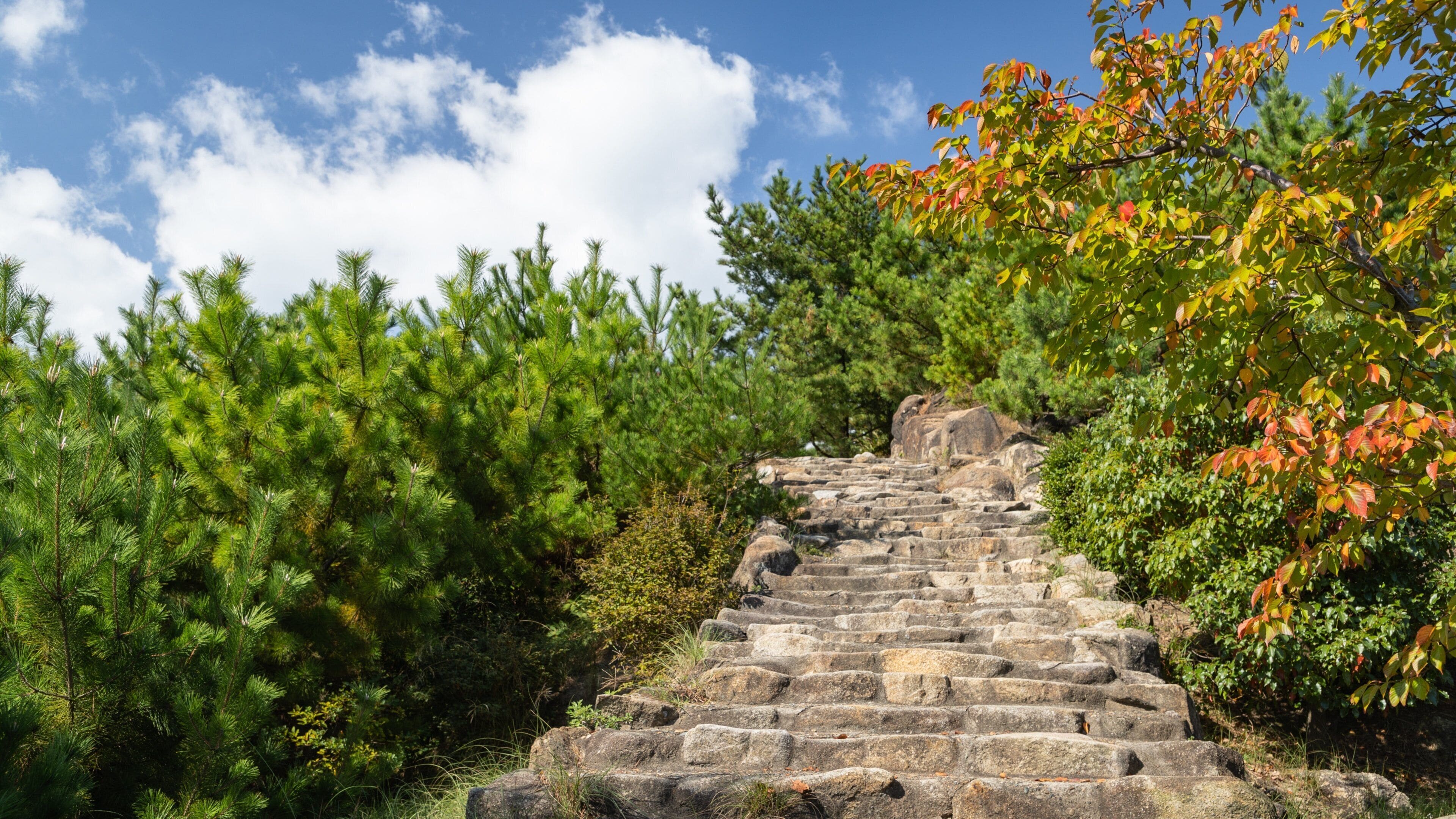Okayama Prefecture showing a garden