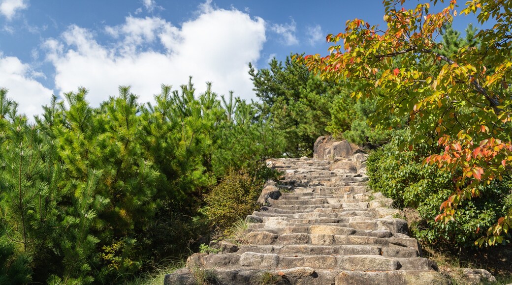 Okayama Prefecture showing a garden