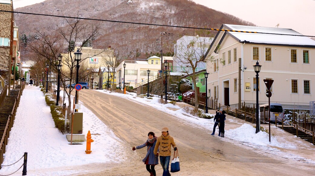 Hakodate mostrando nieve y escenas urbanas y también un pequeño grupo de personas
