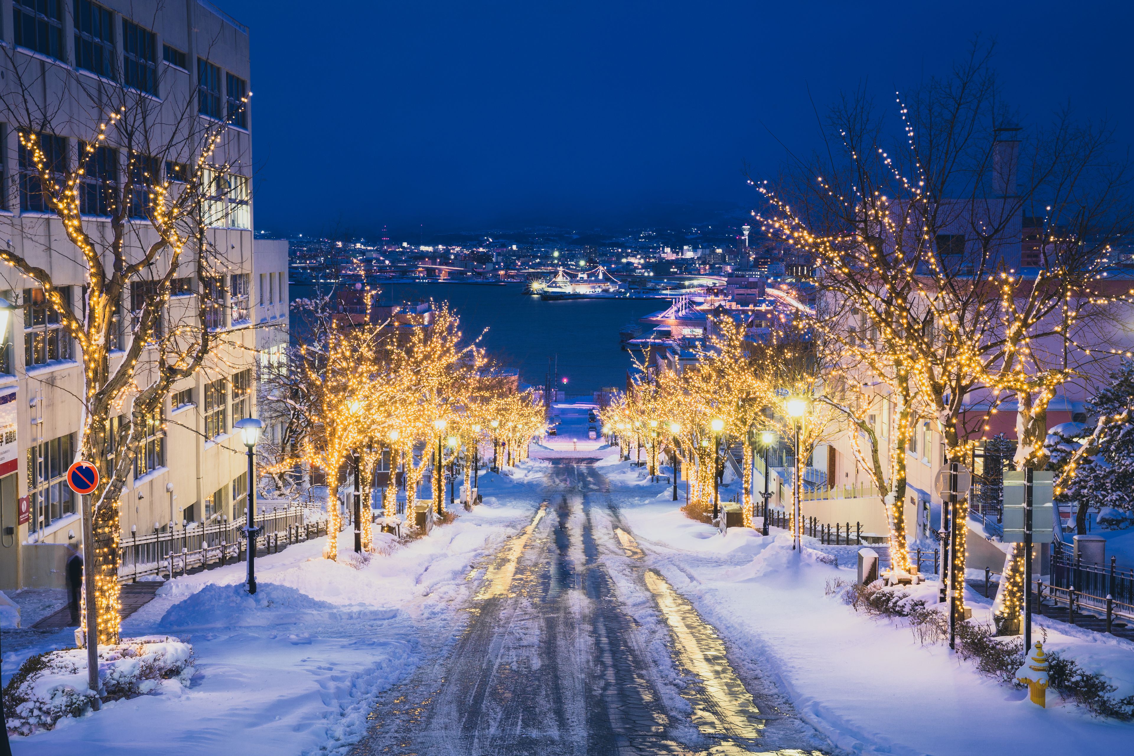 Una calle nevada bordeada de árboles decorados con luces, que conduce a un cuerpo de agua con luces de la ciudad a lo lejos.