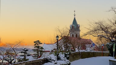 Hakodate showing heritage elements and a sunset