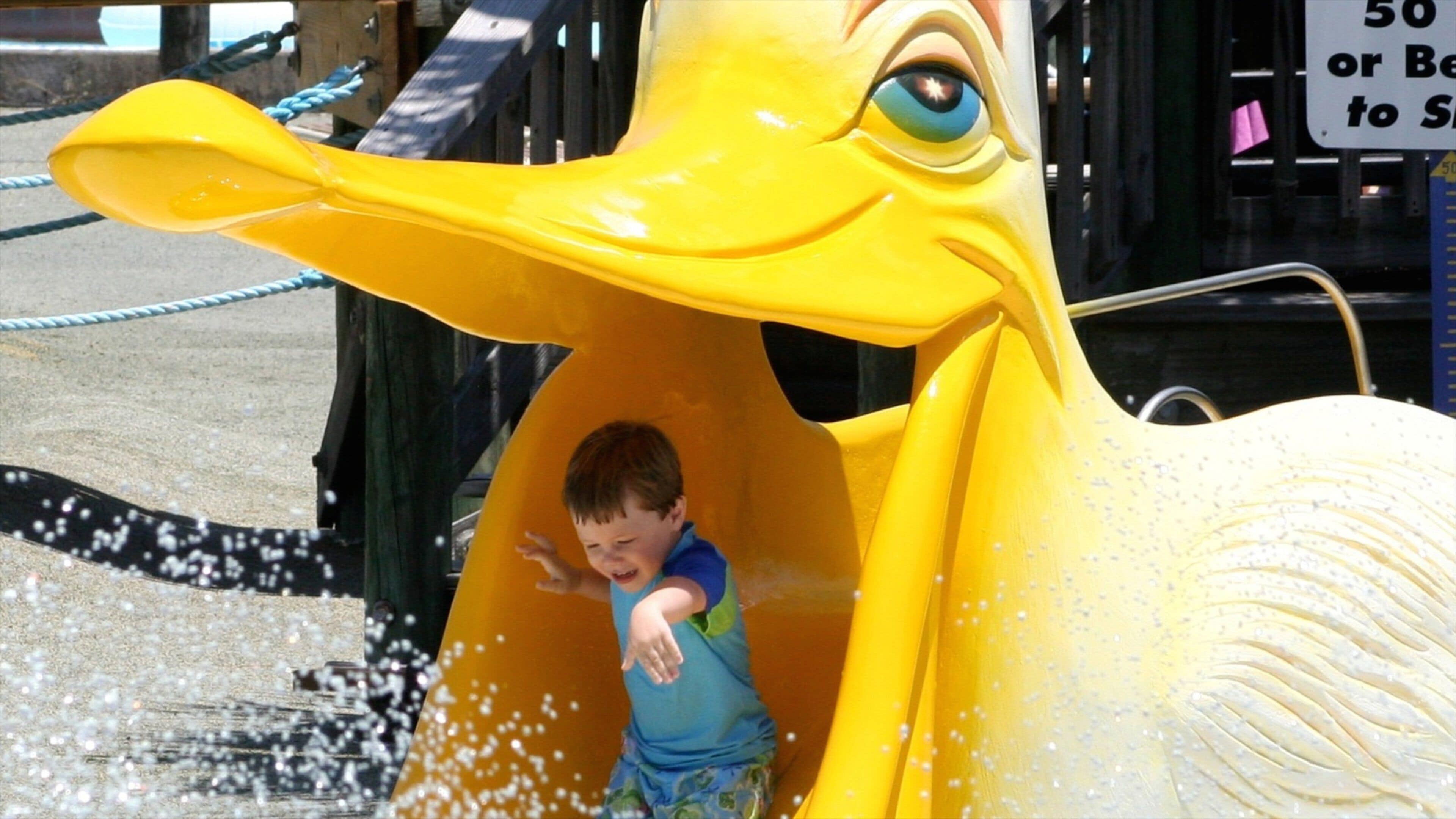 Shipwreck Island Waterpark which includes a waterpark as well as an individual child