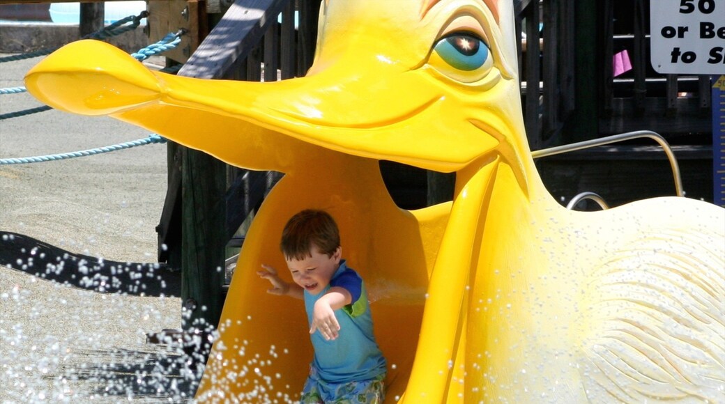 Shipwreck Island Waterpark which includes a waterpark as well as an individual child