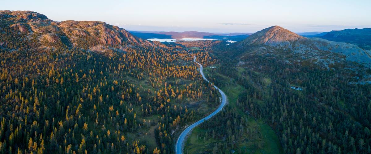 A winding road through a dense forest with mountains in the background.