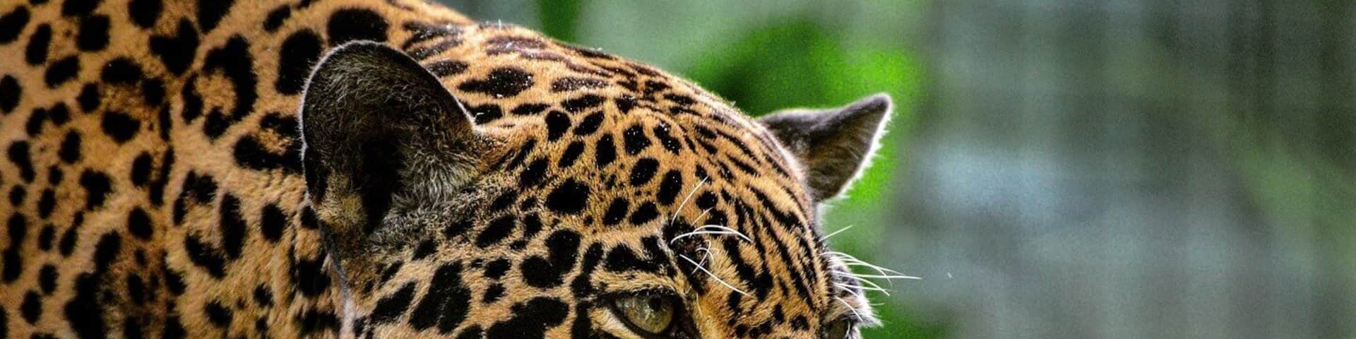 This is a nice zoo that you can enjoy in a few hours. You can even kayak around part of it for a small fee.