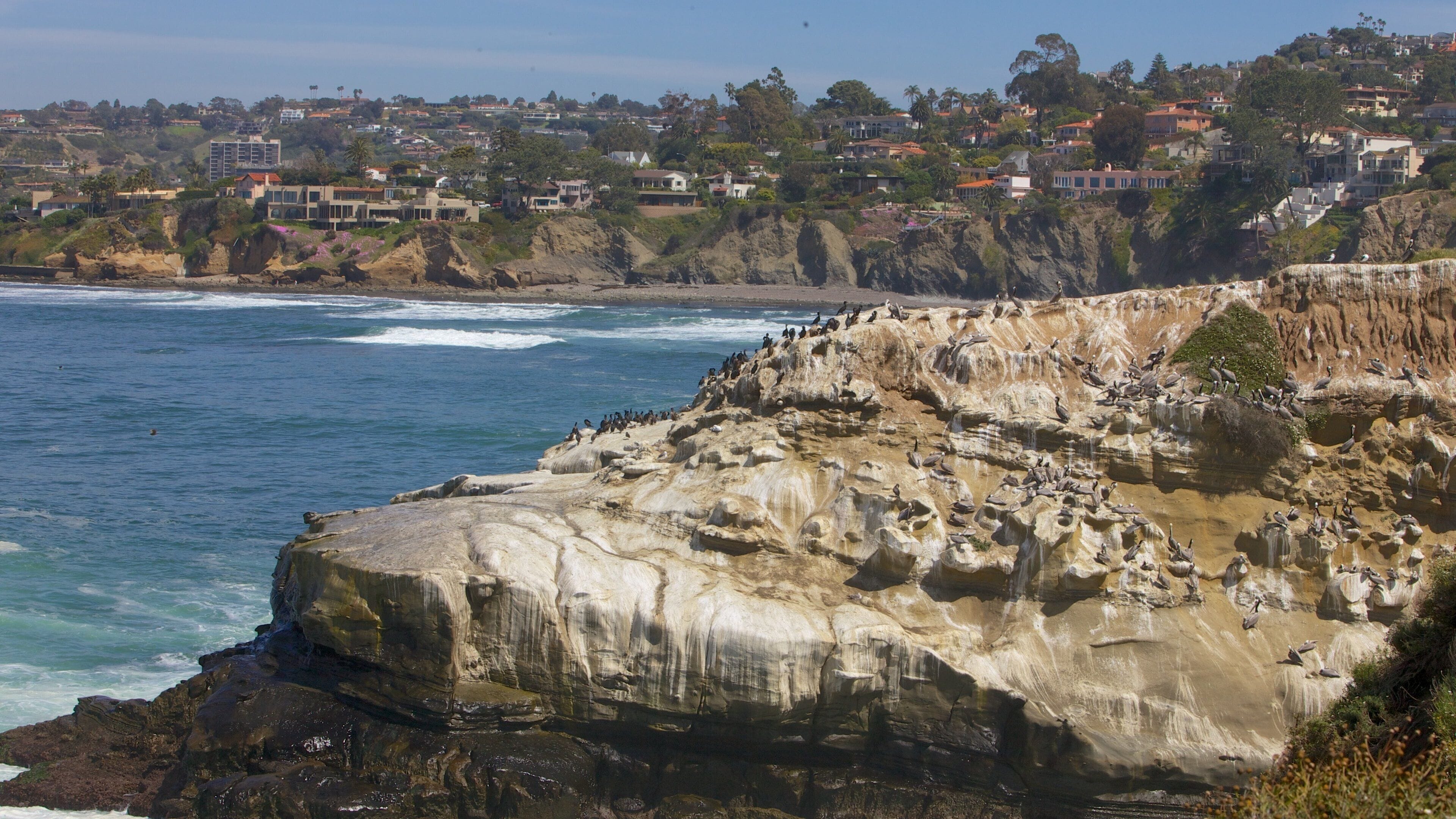 La Jolla Cove which includes rocky coastline and landscape views