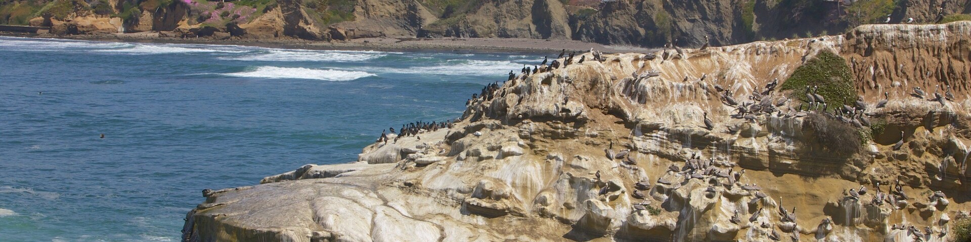 La Jolla Cove which includes landscape views and rugged coastline