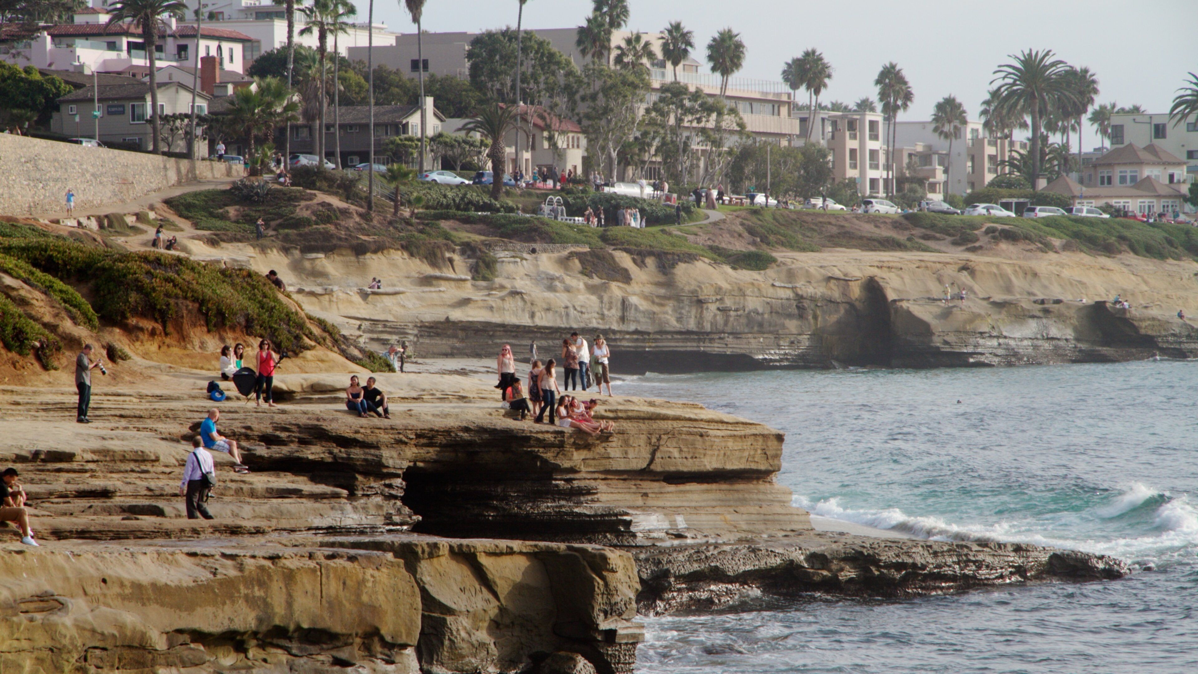 La Jolla Cove featuring a coastal town, tropical scenes and rugged coastline